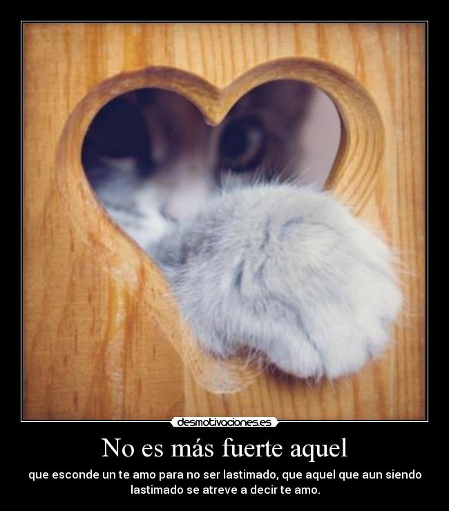 No es más fuerte aquel - que esconde un te amo para no ser lastimado, que aquel que aun siendo
lastimado se atreve a decir te amo.