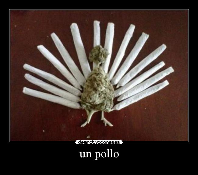 un pollo -