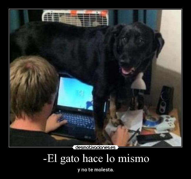 -El gato hace lo mismo - y no te molesta.