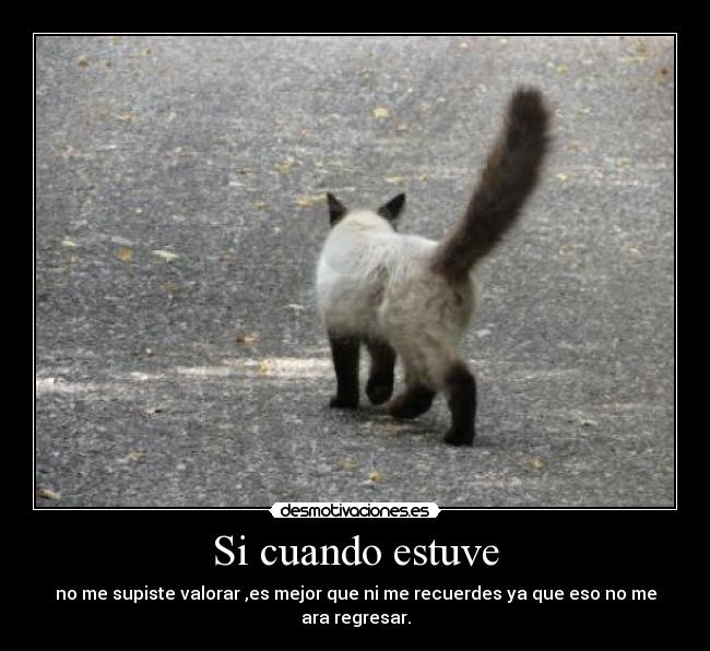 Si cuando estuve - no me supiste valorar ,es mejor que ni me recuerdes ya que eso no me ara regresar.