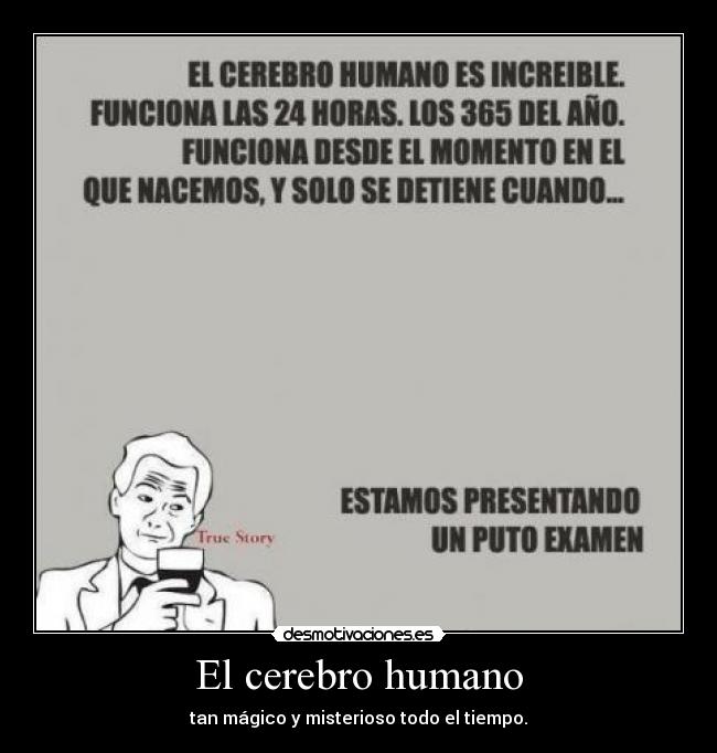 El cerebro humano - tan mágico y misterioso todo el tiempo.