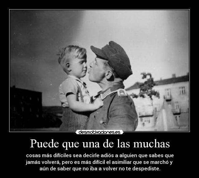 carteles brindemos por todos los que han caido esta lucha que vida importan condicion raza sexo desmotivaciones