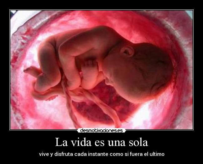 La vida es una sola - vive y disfruta cada instante como si fuera el ultimo