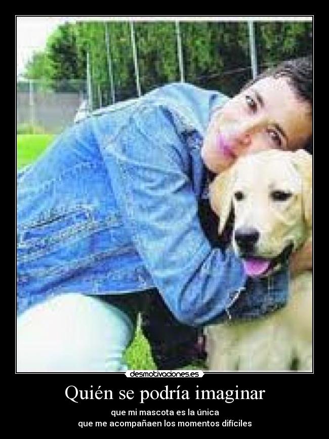 Quién se podría imaginar - que mi mascota es la única
que me acompañaen los momentos difíciles