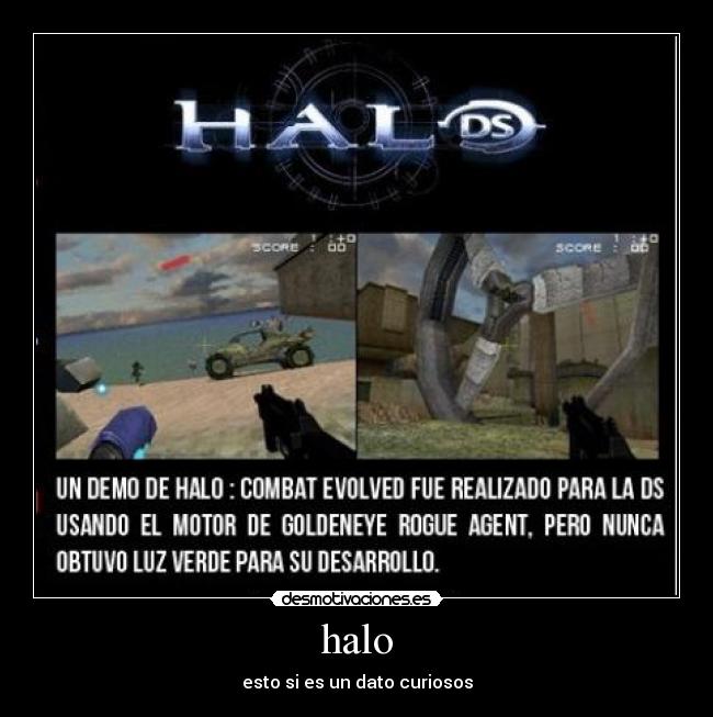 halo - esto si es un dato curiosos