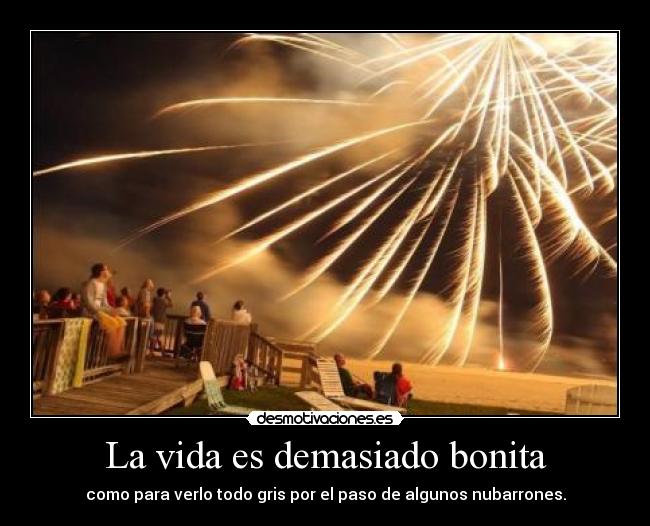 La vida es demasiado bonita - 