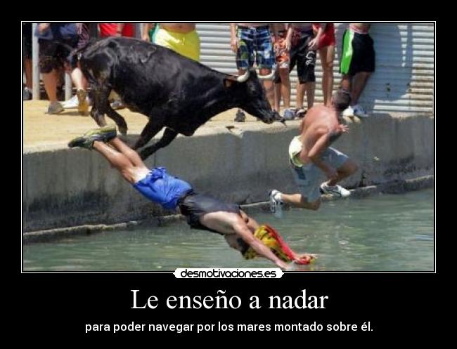 Le enseño a nadar - para poder navegar por los mares montado sobre él.