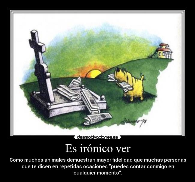 Es irónico ver - 