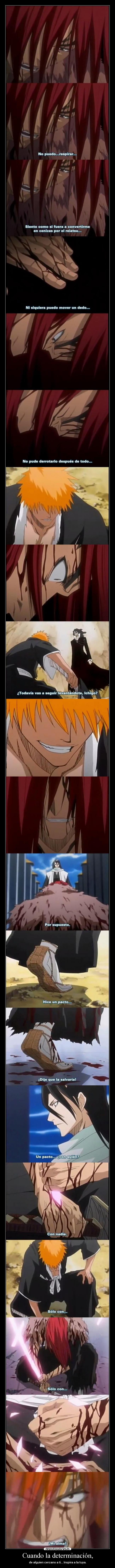 carteles bleach anime corregido cap ichigo renji desmotivaciones