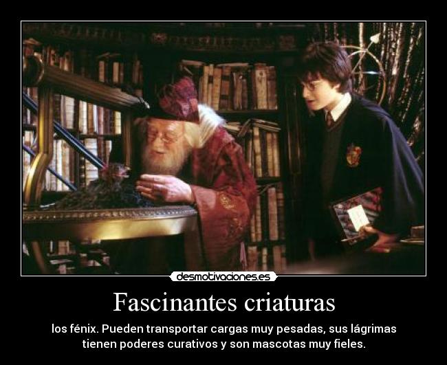 Fascinantes criaturas -