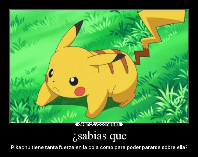 ¿sabias que - Pikachu tiene tanta fuerza en la cola como para poder pararse sobre ella?