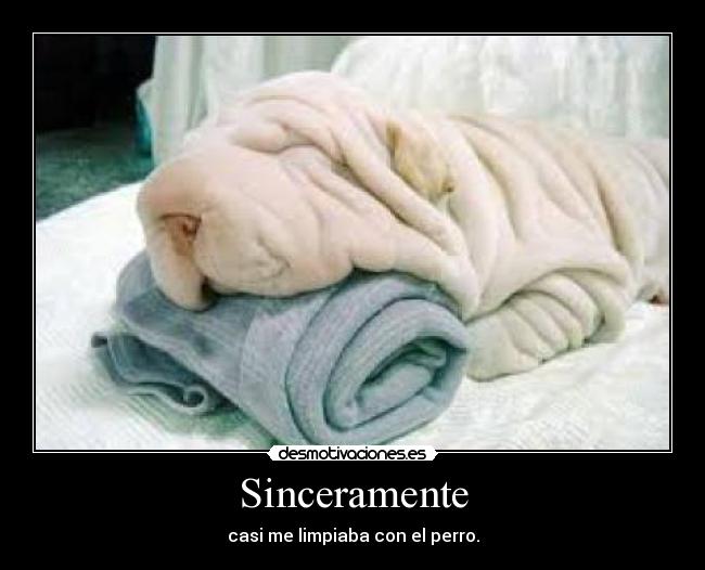 Sinceramente - casi me limpiaba con el perro.