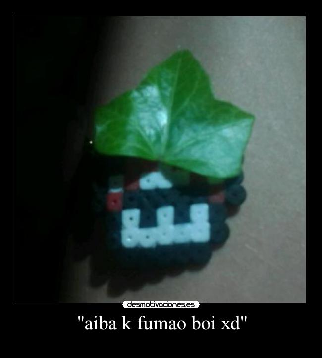 aiba k fumao boi xd - 