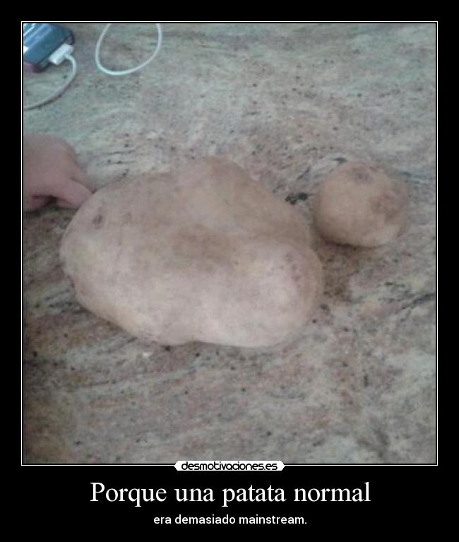 Porque una patata normal - 