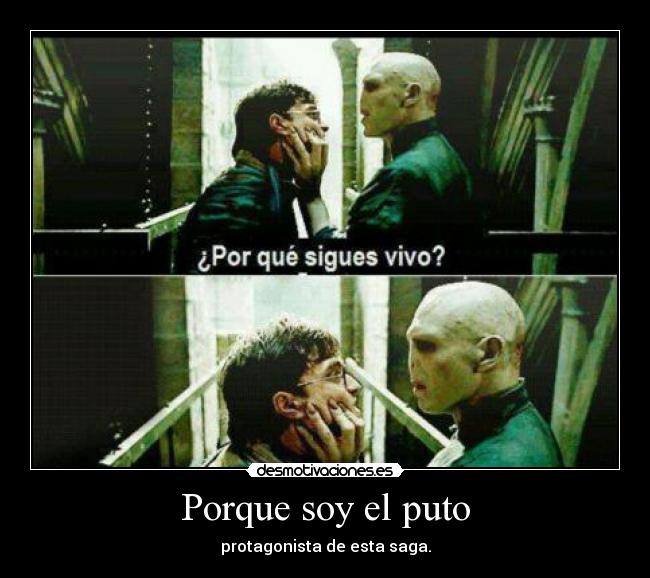 Porque soy el puto - protagonista de esta saga.