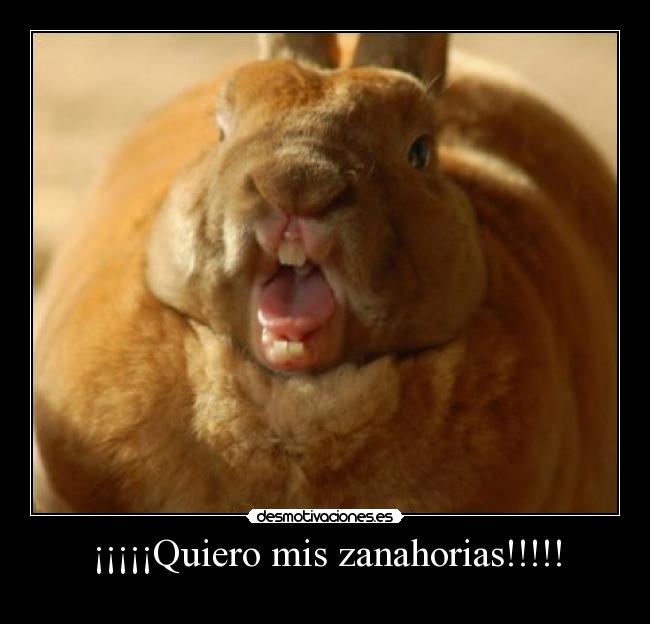 ¡¡¡¡¡Quiero mis zanahorias!!!!! -