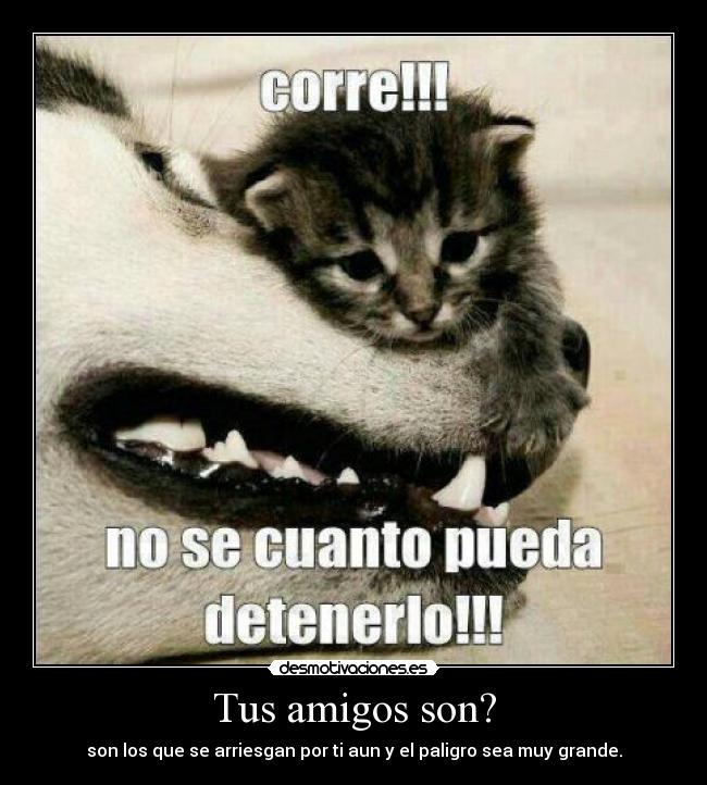 Tus amigos son? - son los que se arriesgan por ti aun y el paligro sea muy grande.