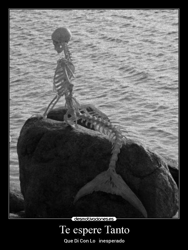 Te espere Tanto - 