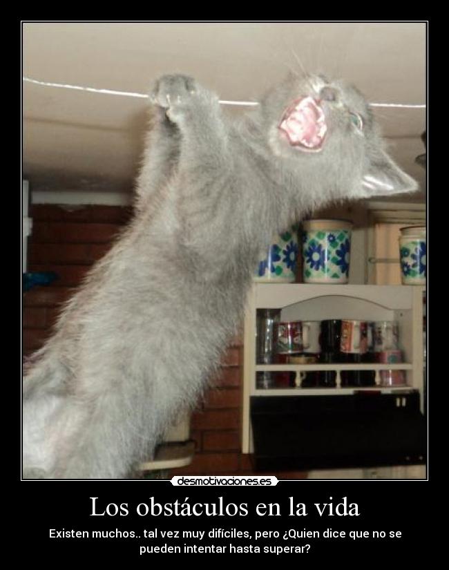 carteles obstaculos vida law desmotivaciones