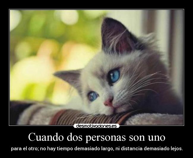 Cuando dos personas son uno - para el otro; no hay tiempo demasiado largo, ni distancia demasiado lejos.