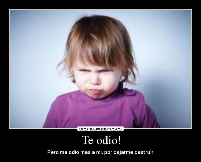 carteles odio odio destruir desmotivaciones