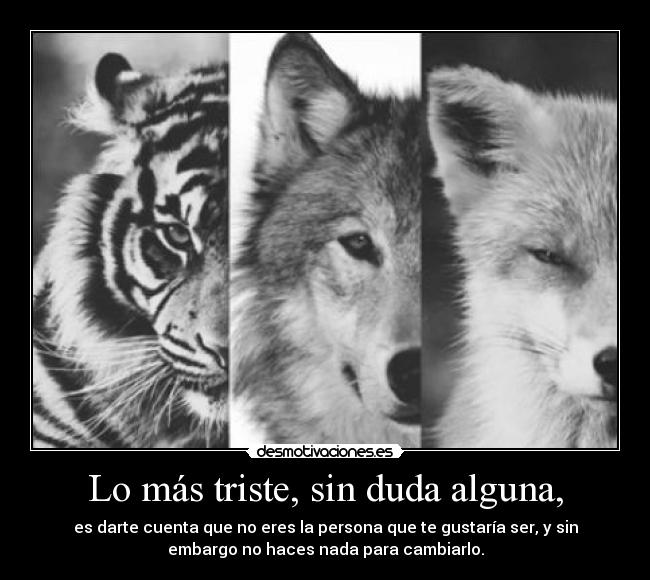 carteles fanta beautifulthanwordscouldsay halloffame desmotivaciones