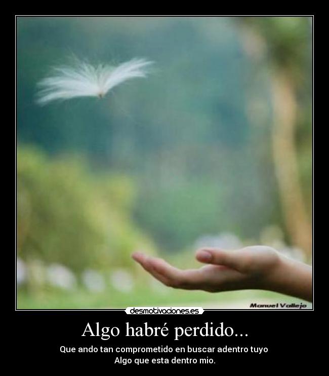 Algo habré perdido... - 