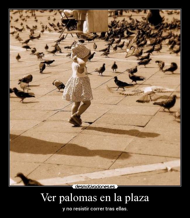 Ver palomas en la plaza - y no resistir correr tras ellas.