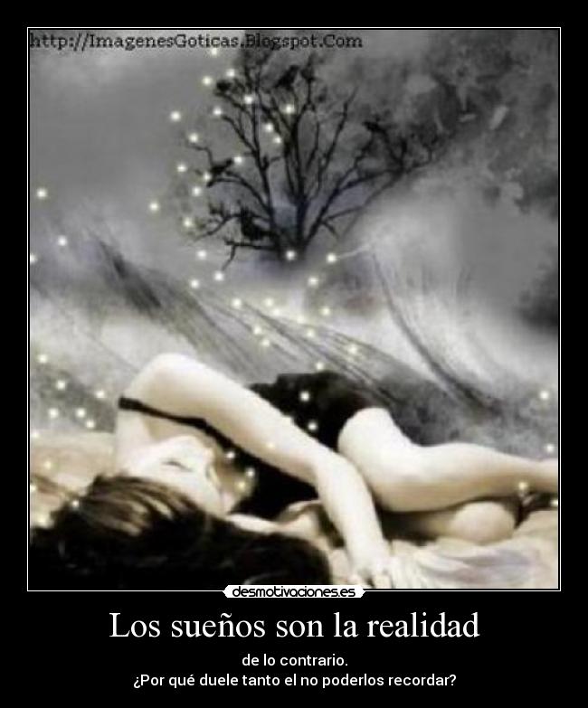 Los sueños son la realidad -