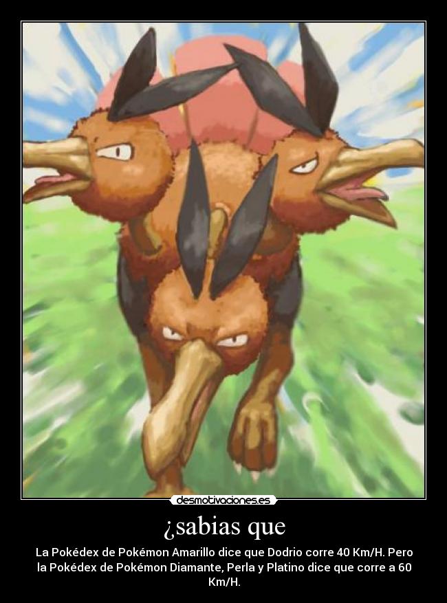 ¿sabias que - La Pokédex de Pokémon Amarillo dice que Dodrio corre 40 Km/H. Pero
la Pokédex de Pokémon Diamante, Perla y Platino dice que corre a 60
Km/H.
