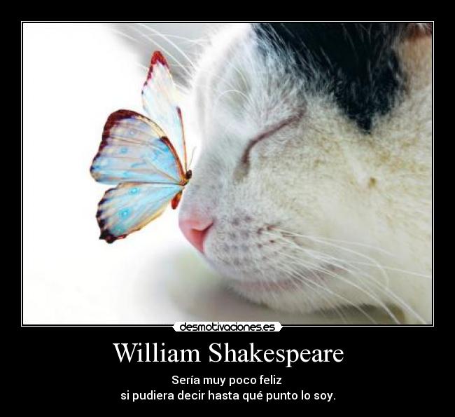 William Shakespeare - Sería muy poco feliz 
si pudiera decir hasta qué punto lo soy.