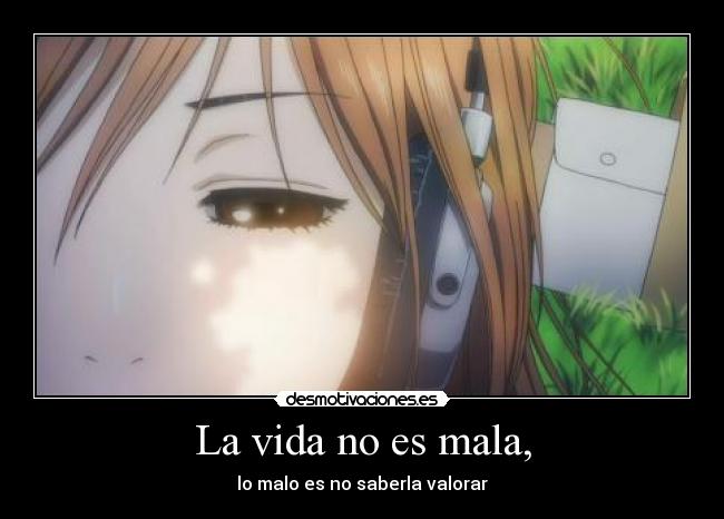 carteles vida vida valorar anime desmotivaciones