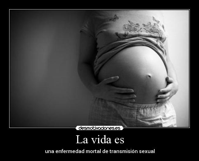 La vida es - 