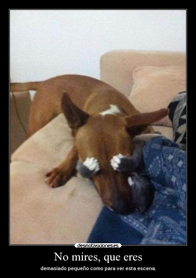 No mires, que eres - demasiado pequeño como para ver esta escena.