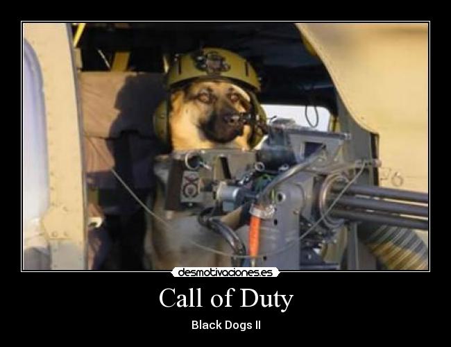 Call of Duty - 