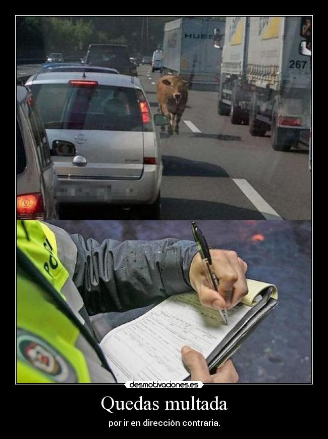 Quedas multada - por ir en dirección contraria.