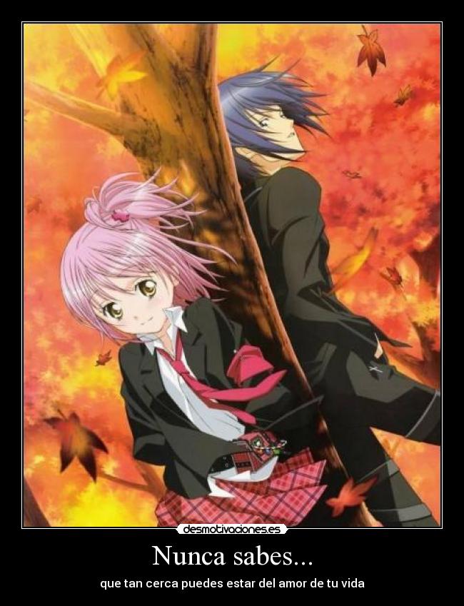 carteles shugo chara amu hinamori ikuto tsukiyomi echos reales amor parejas vida destino desmotivaciones