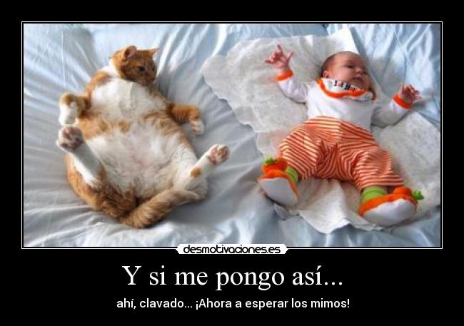 Y si me pongo así... - 