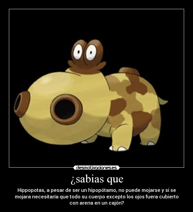 ¿sabias que - Hippopotas, a pesar de ser un hipopótamo, no puede mojarse y si se
mojara necesitaría que todo su cuerpo excepto los ojos fuera cubierto
con arena en un cajón?