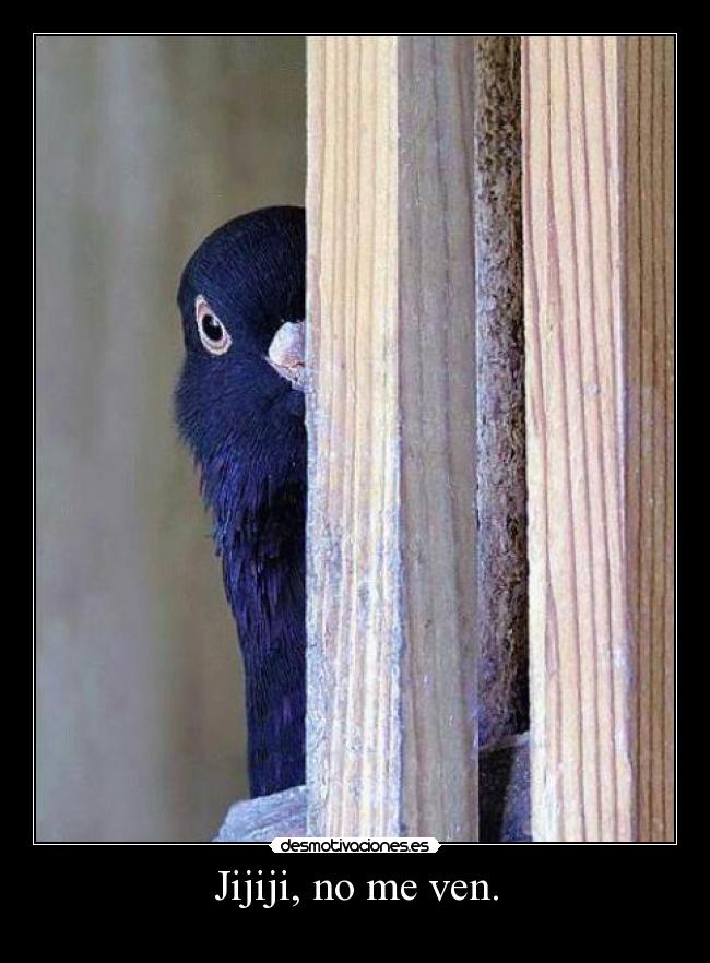 Jijiji, no me ven. - 