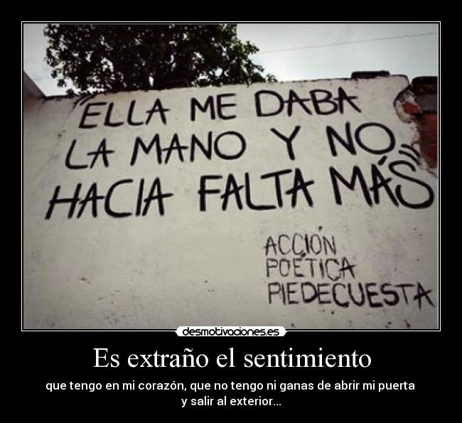 Es extraño el sentimiento - 