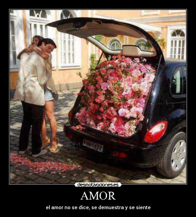AMOR -