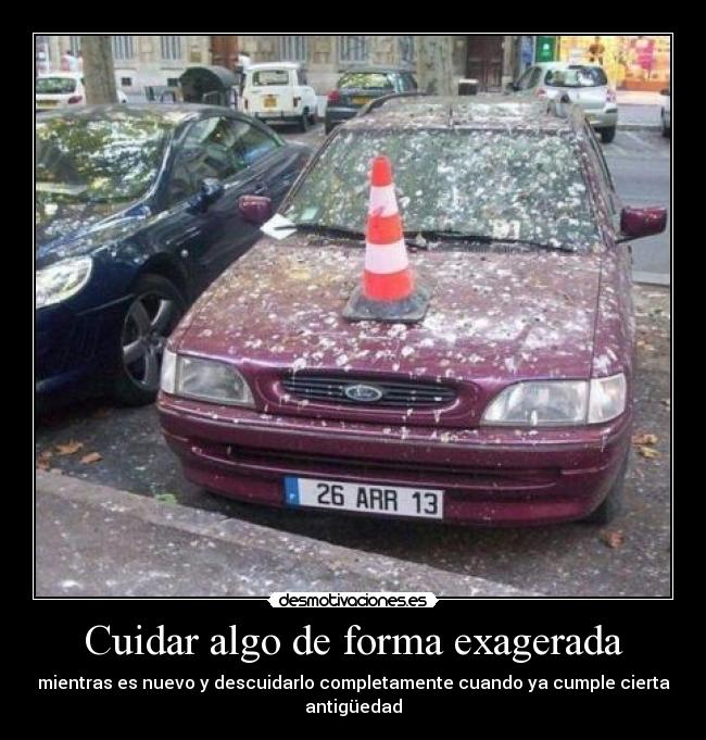 Cuidar algo de forma exagerada - 