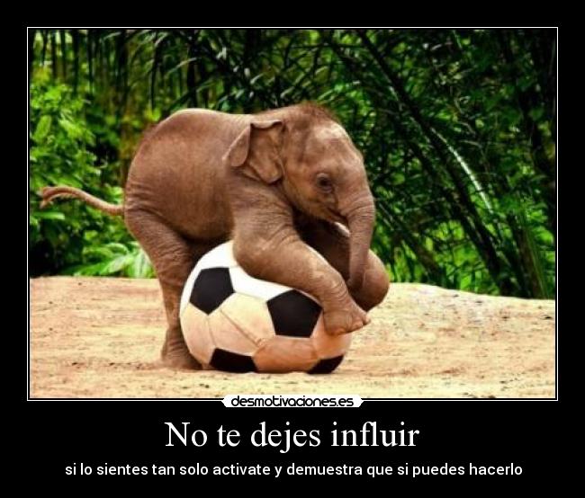 No te dejes influir - si lo sientes tan solo activate y demuestra que si puedes hacerlo