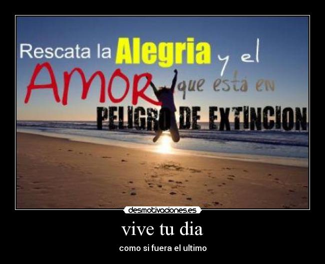 vive tu dia - 