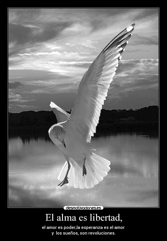 El alma es libertad, - el amor es poder,la esperanza es el amor
y los sueños, son revoluciones.