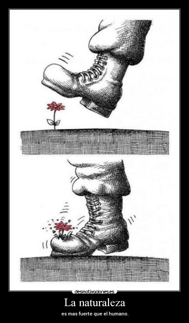 La naturaleza -