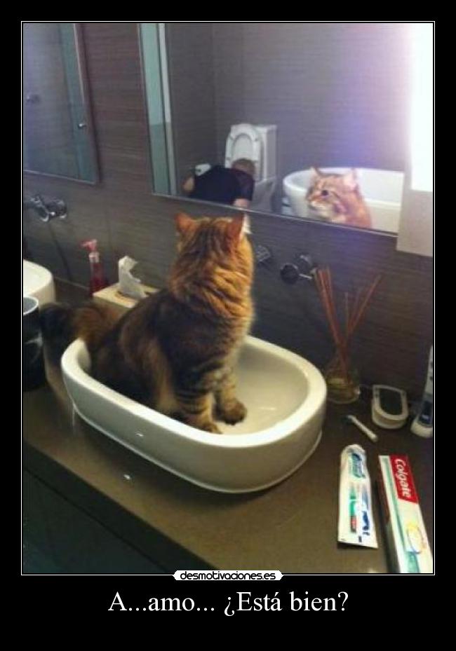 A...amo... ¿Está bien? -