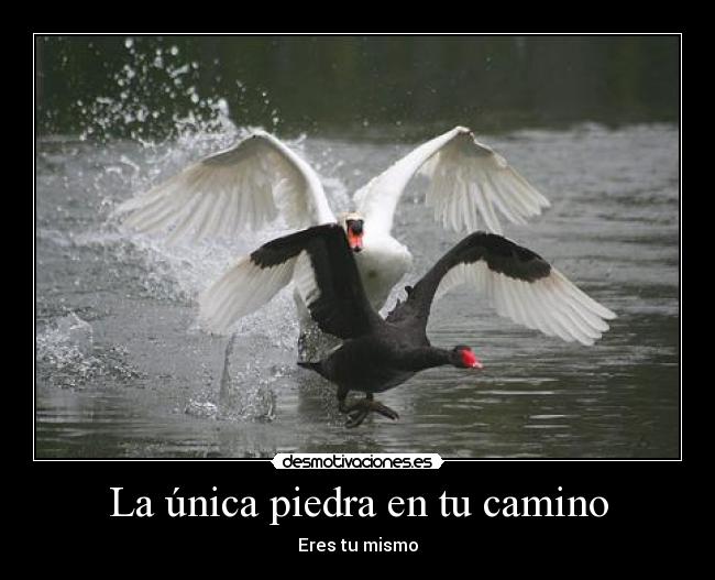 La única piedra en tu camino - Eres tu mismo