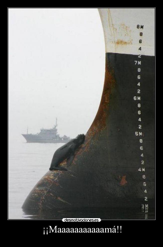 ¡¡Maaaaaaaaaaamá!! -